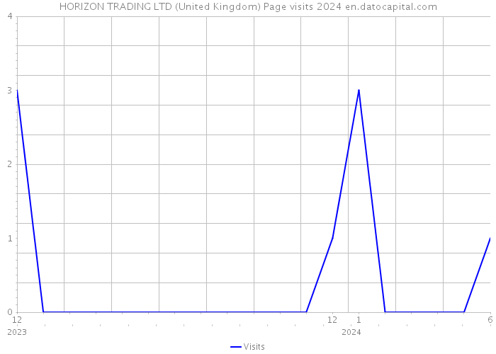 HORIZON TRADING LTD (United Kingdom) Page visits 2024 