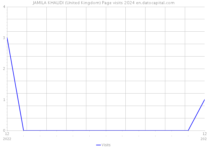 JAMILA KHALIDI (United Kingdom) Page visits 2024 