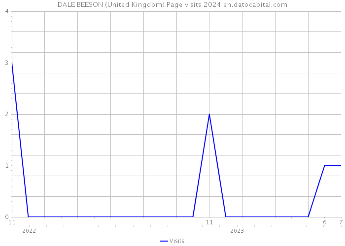 DALE BEESON (United Kingdom) Page visits 2024 