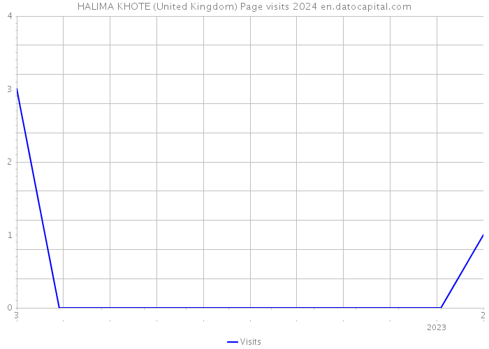 HALIMA KHOTE (United Kingdom) Page visits 2024 
