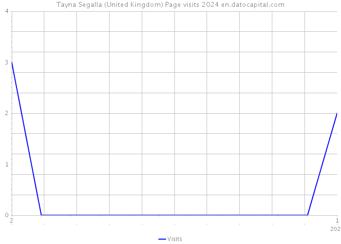 Tayna Segalla (United Kingdom) Page visits 2024 