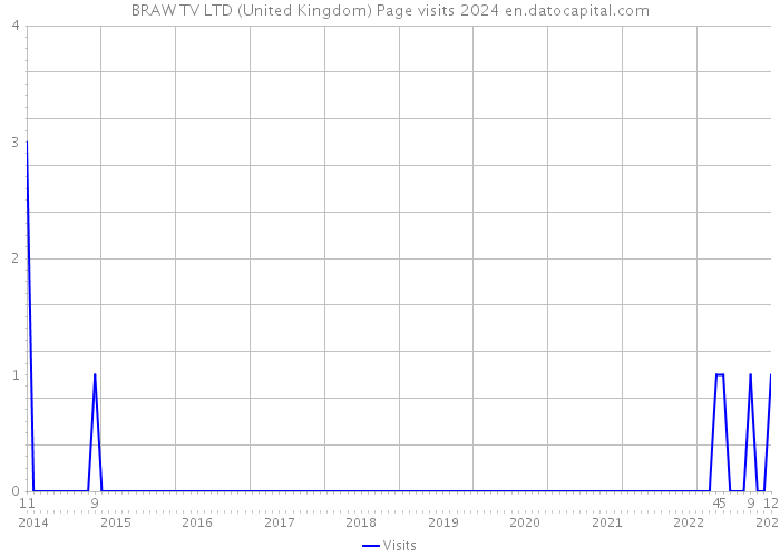 BRAW TV LTD (United Kingdom) Page visits 2024 