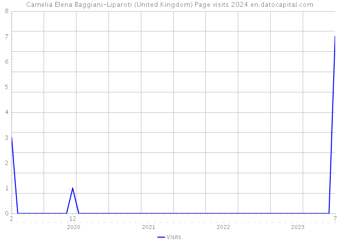 Camelia Elena Baggiani-Liparoti (United Kingdom) Page visits 2024 