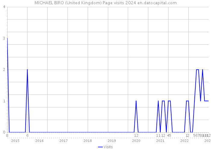 MICHAEL BIRO (United Kingdom) Page visits 2024 
