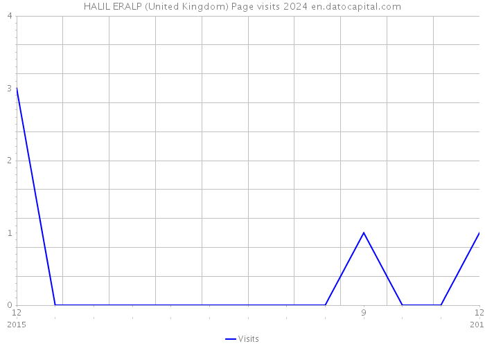 HALIL ERALP (United Kingdom) Page visits 2024 