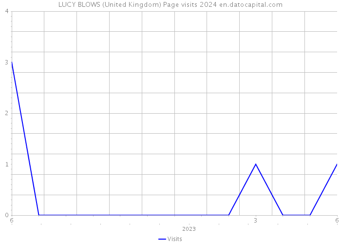 LUCY BLOWS (United Kingdom) Page visits 2024 