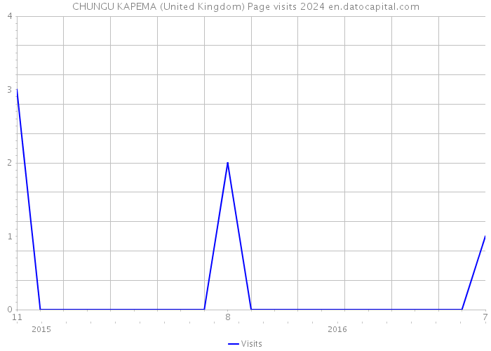 CHUNGU KAPEMA (United Kingdom) Page visits 2024 