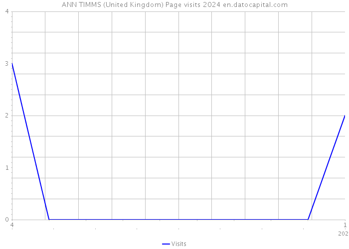 ANN TIMMS (United Kingdom) Page visits 2024 