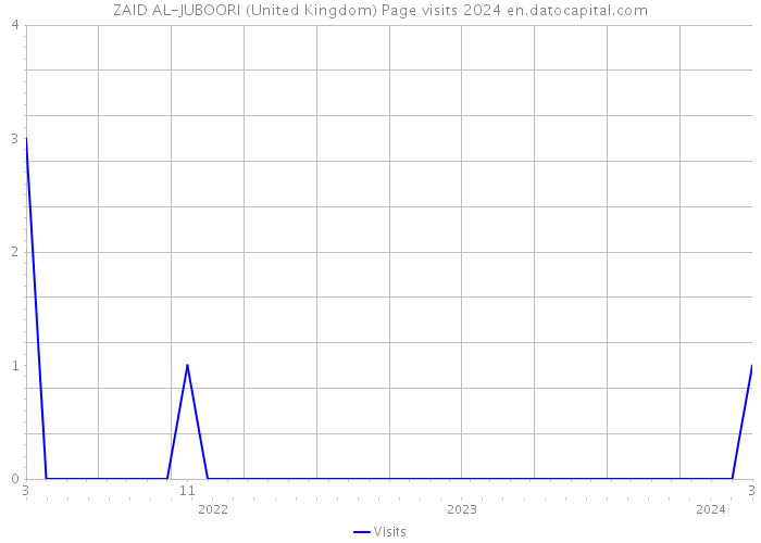 ZAID AL-JUBOORI (United Kingdom) Page visits 2024 