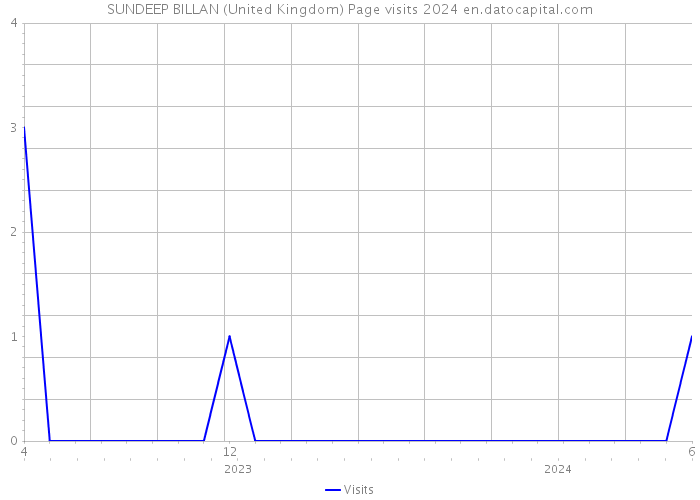 SUNDEEP BILLAN (United Kingdom) Page visits 2024 