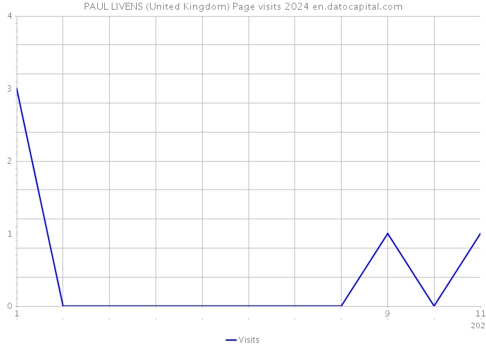PAUL LIVENS (United Kingdom) Page visits 2024 