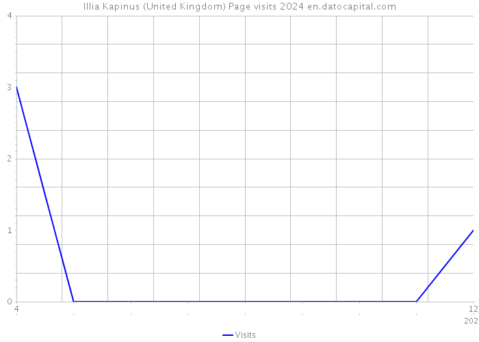 Illia Kapinus (United Kingdom) Page visits 2024 