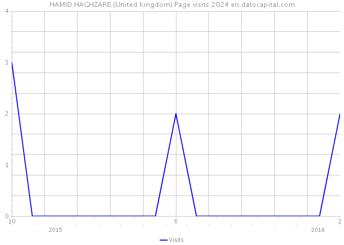 HAMID HAGHZARE (United Kingdom) Page visits 2024 