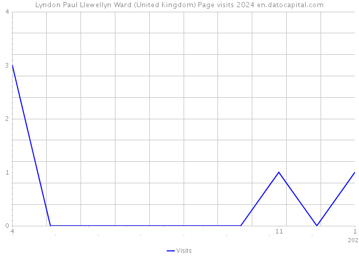 Lyndon Paul Llewellyn Ward (United Kingdom) Page visits 2024 