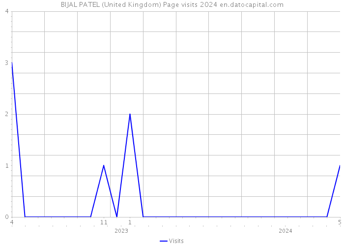 BIJAL PATEL (United Kingdom) Page visits 2024 