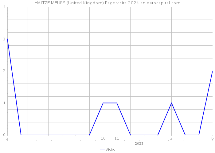 HAITZE MEURS (United Kingdom) Page visits 2024 