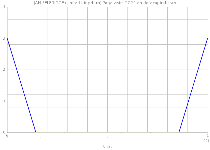 JAN SELFRIDGE (United Kingdom) Page visits 2024 