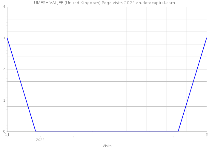 UMESH VALJEE (United Kingdom) Page visits 2024 