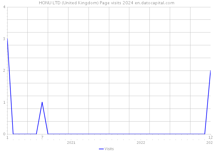 HONU LTD (United Kingdom) Page visits 2024 