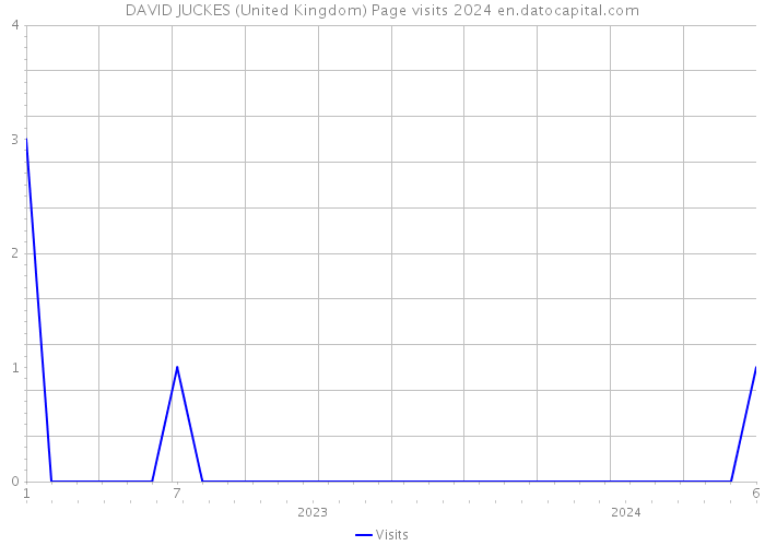 DAVID JUCKES (United Kingdom) Page visits 2024 