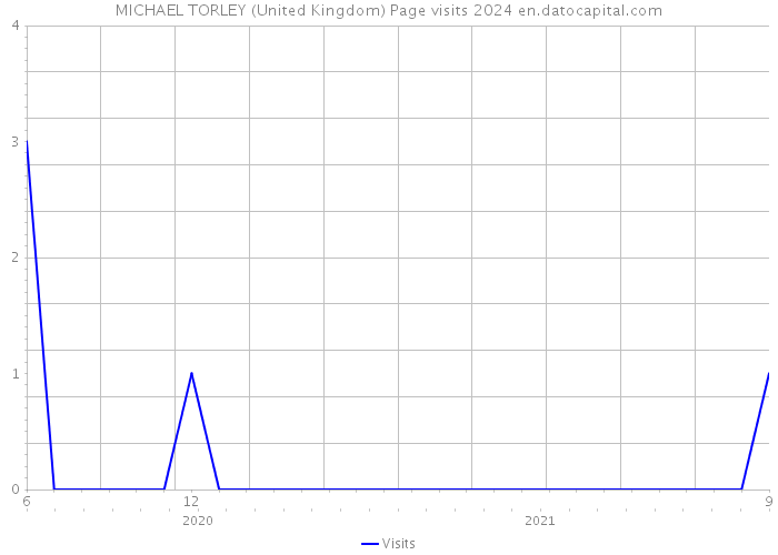 MICHAEL TORLEY (United Kingdom) Page visits 2024 