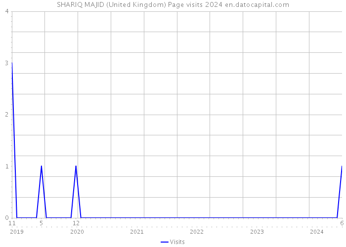 SHARIQ MAJID (United Kingdom) Page visits 2024 