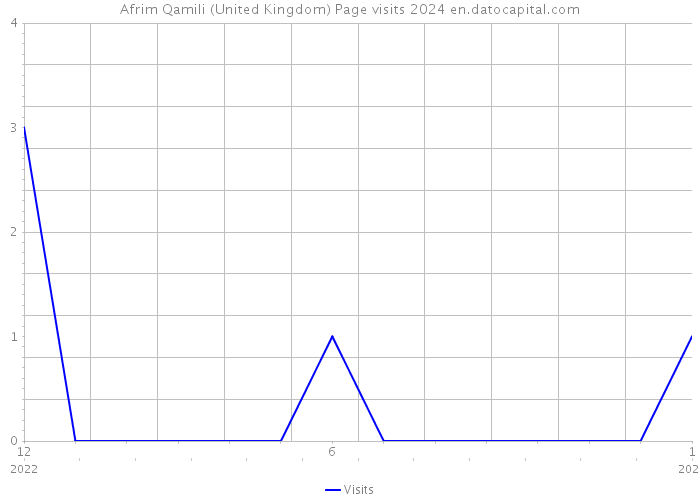 Afrim Qamili (United Kingdom) Page visits 2024 