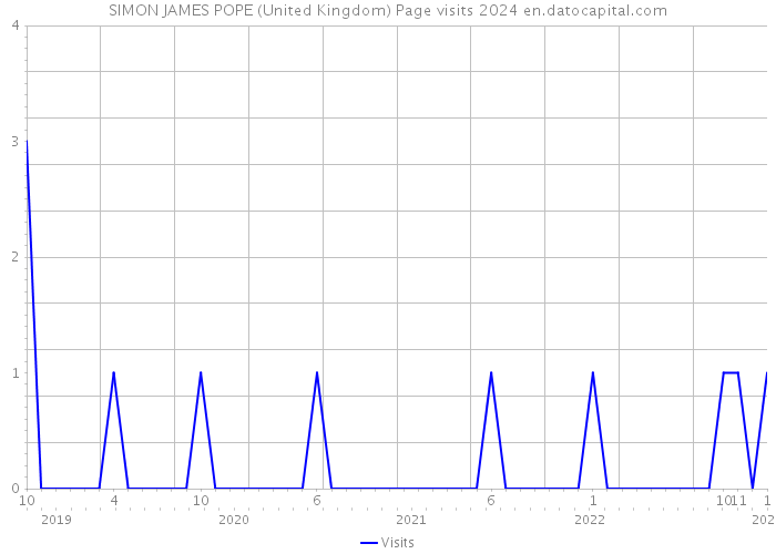 SIMON JAMES POPE (United Kingdom) Page visits 2024 