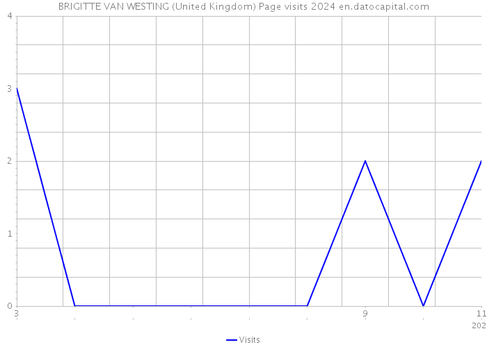 BRIGITTE VAN WESTING (United Kingdom) Page visits 2024 