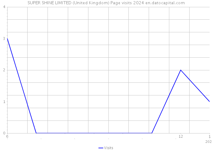 SUPER SHINE LIMITED (United Kingdom) Page visits 2024 