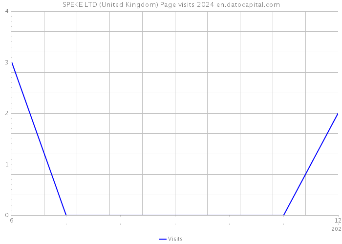 SPEKE LTD (United Kingdom) Page visits 2024 