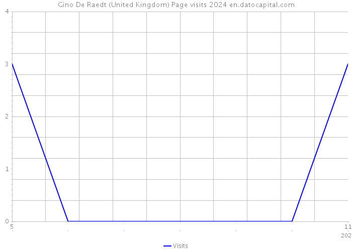 Gino De Raedt (United Kingdom) Page visits 2024 