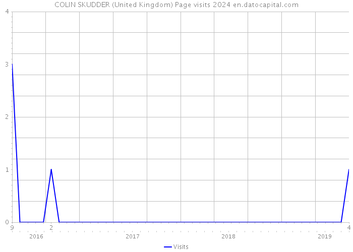 COLIN SKUDDER (United Kingdom) Page visits 2024 