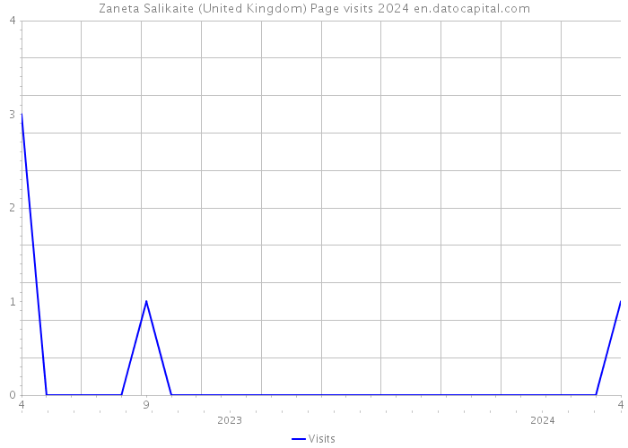 Zaneta Salikaite (United Kingdom) Page visits 2024 