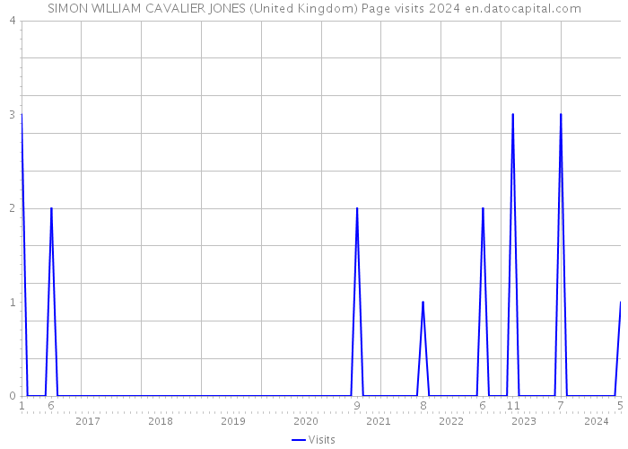 SIMON WILLIAM CAVALIER JONES (United Kingdom) Page visits 2024 