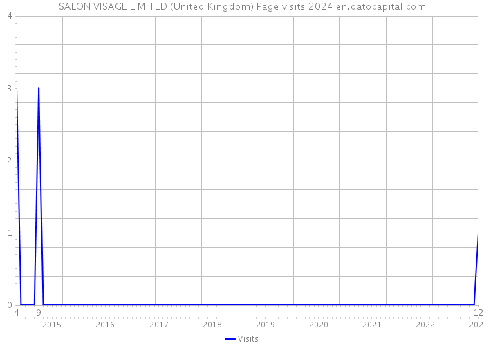 SALON VISAGE LIMITED (United Kingdom) Page visits 2024 