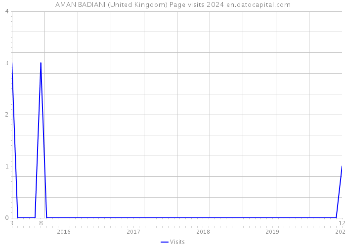 AMAN BADIANI (United Kingdom) Page visits 2024 