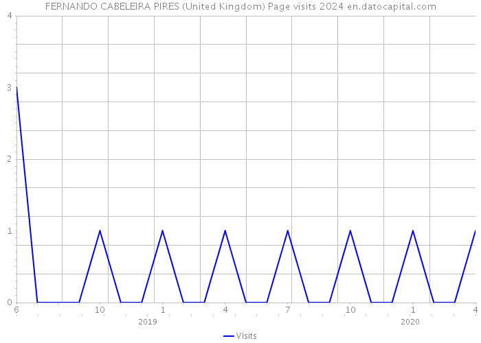 FERNANDO CABELEIRA PIRES (United Kingdom) Page visits 2024 
