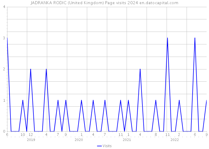 JADRANKA RODIC (United Kingdom) Page visits 2024 