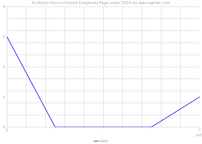 Kodirjon Norov (United Kingdom) Page visits 2024 