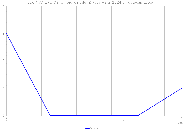 LUCY JANE PUJOS (United Kingdom) Page visits 2024 