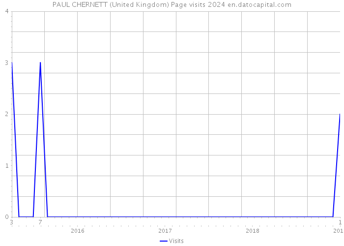 PAUL CHERNETT (United Kingdom) Page visits 2024 