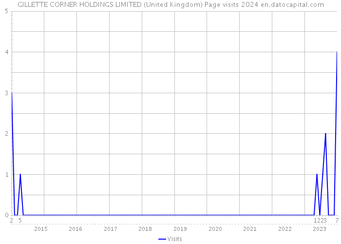 GILLETTE CORNER HOLDINGS LIMITED (United Kingdom) Page visits 2024 