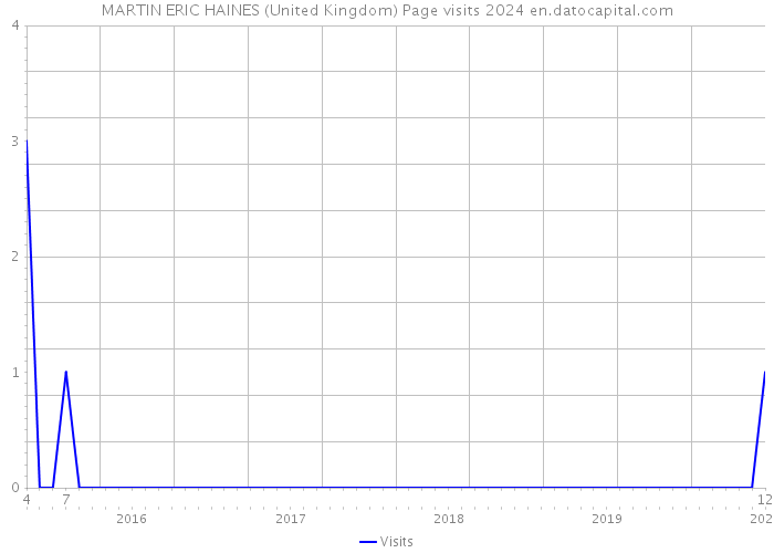 MARTIN ERIC HAINES (United Kingdom) Page visits 2024 