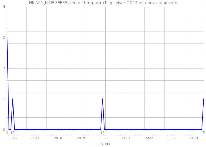 HILARY JANE BEESE (United Kingdom) Page visits 2024 