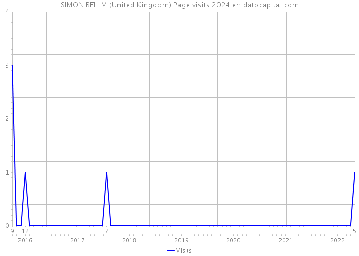 SIMON BELLM (United Kingdom) Page visits 2024 