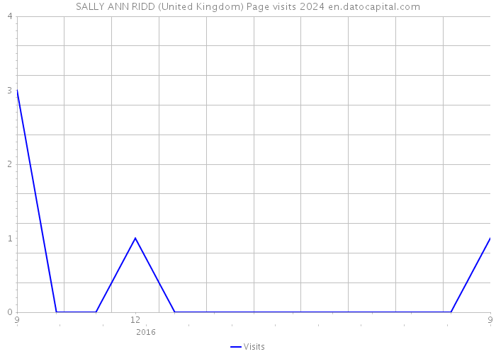 SALLY ANN RIDD (United Kingdom) Page visits 2024 