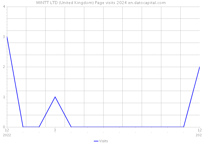 MINTT LTD (United Kingdom) Page visits 2024 