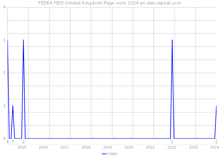 FEDRA FEIZI (United Kingdom) Page visits 2024 
