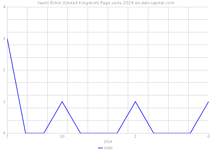 Vasilii Echin (United Kingdom) Page visits 2024 